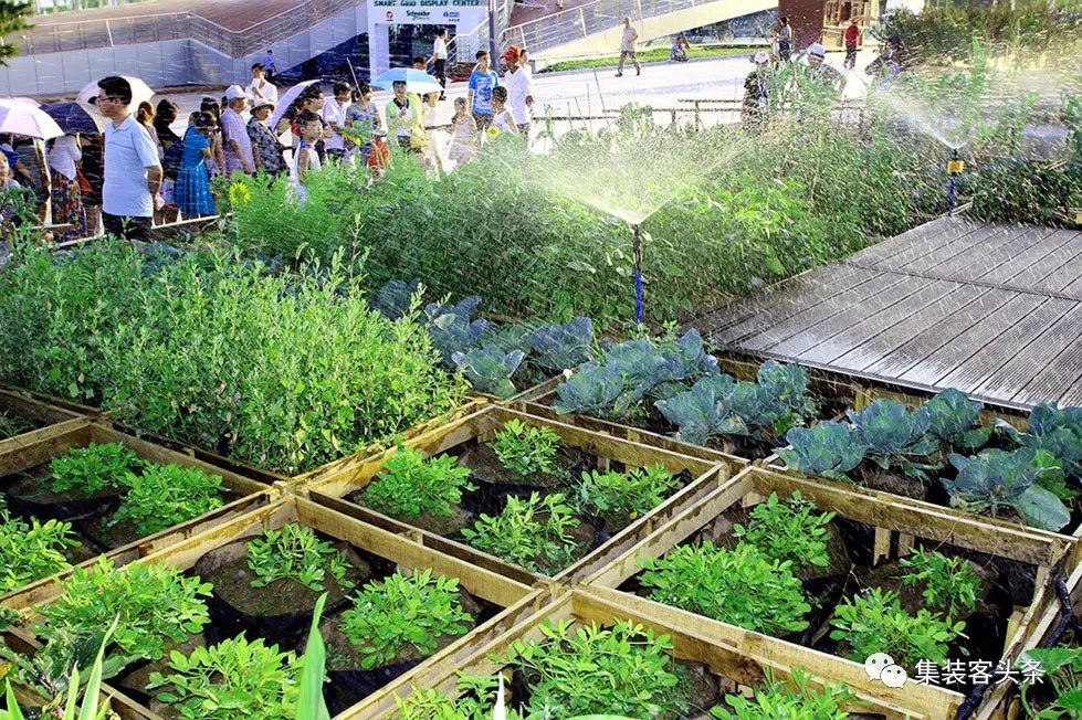 案例 | 模块化的生态和可持续的农场生活空间_上海集装客